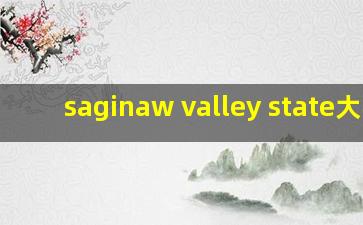 saginaw valley state大学